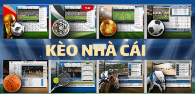 7m sport trải nghiệm xem tỷ số bóng đá online và kèo nhà cái đẳng cấp