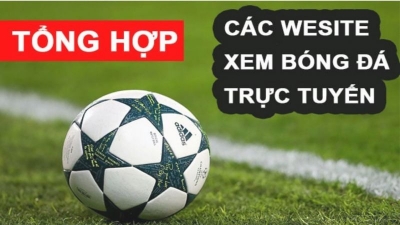 Xem bóng đá trực tuyến: Đánh giá các website trực tiếp hấp dẫn